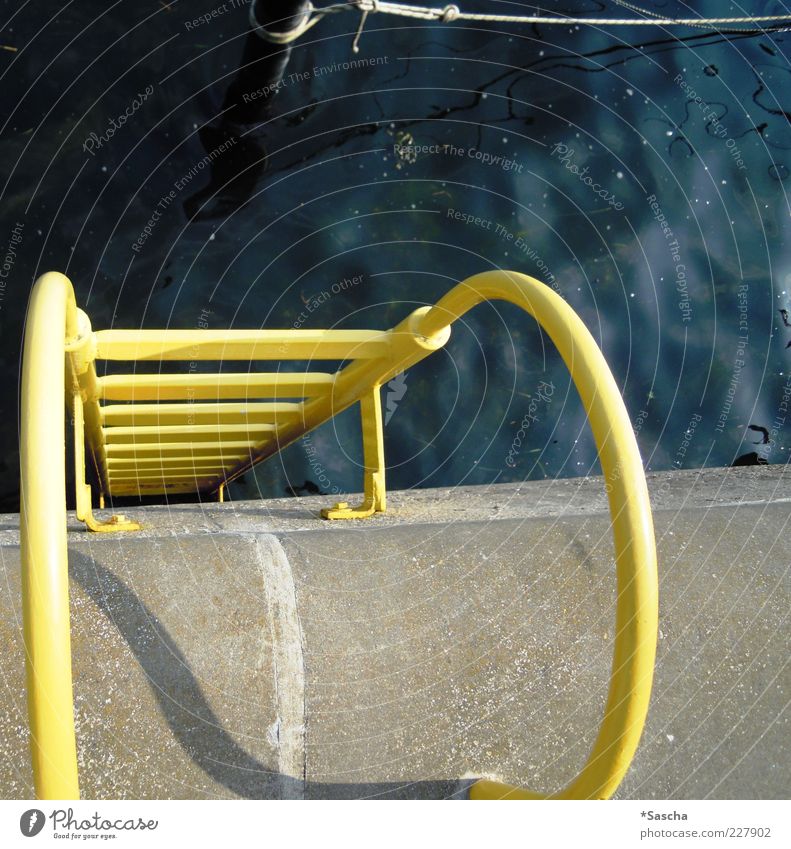 The higher up... Swimming pool Dirty Cold Fear Banister Stairs Water String Pole Knot Ladder Rung Descent Yellow Gray Blue Concrete Pool ladder Colour photo