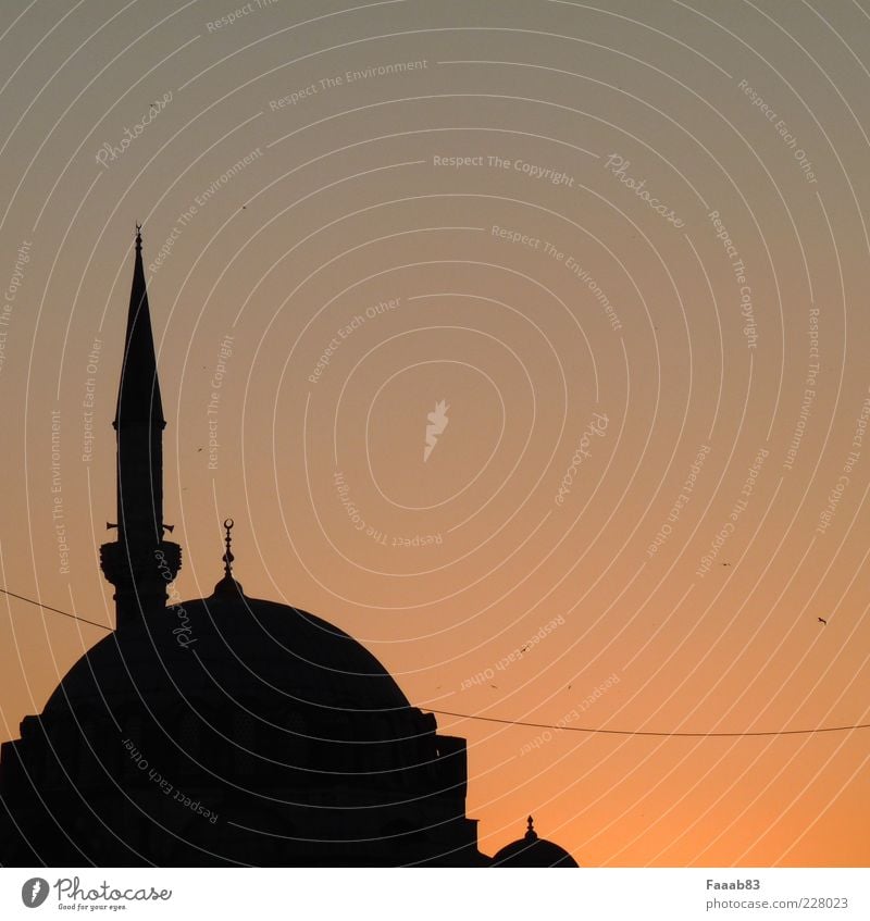 1001 nights Work of art Sunrise Sunset Istanbul Turkey Church Manmade structures Architecture Tourist Attraction Blue Mosque Hagia Sophia Calm Longing