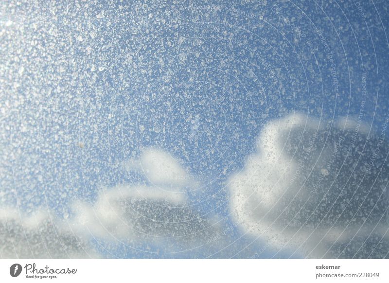heavenly Nature Sky Sky only Clouds Sunlight Weather Esthetic Bright Beautiful Blue Heavenly Windscreen speckled Abstract Copy Space Colour photo Exterior shot