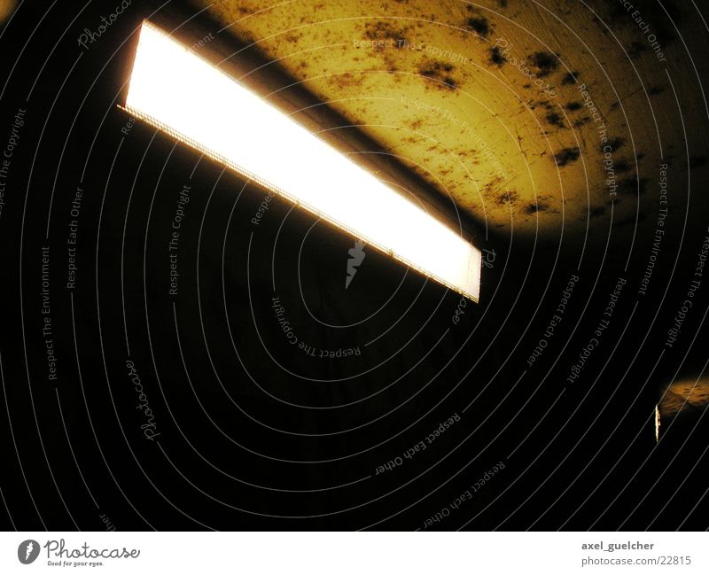 anxiety Dark Lamp Light Photographic technology Underpass Mold Bright