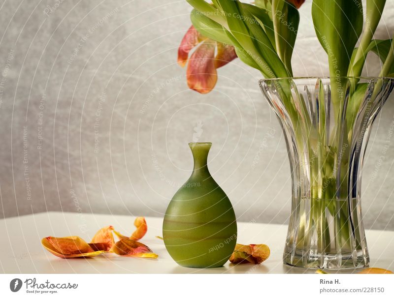 Still with tulips Lifestyle Flower Tulip Vase Faded Yellow Green Transience glass vase Blossom leave Interior shot Deserted Copy Space left Light