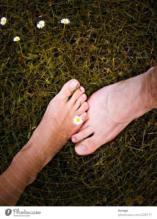 touch Masculine Feminine Woman Adults Man Skin Feet 2 Human being Grass Meadow Touch Stand Together Acceptance Trust Safety Agreed Sympathy Friendship Love