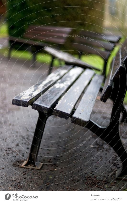 No bank weather Winter Bad weather Rain Park Park bench Bench Wooden bench Old Second-hand Pebble Asphalt Empty Loneliness 3 Semicircle Colour photo