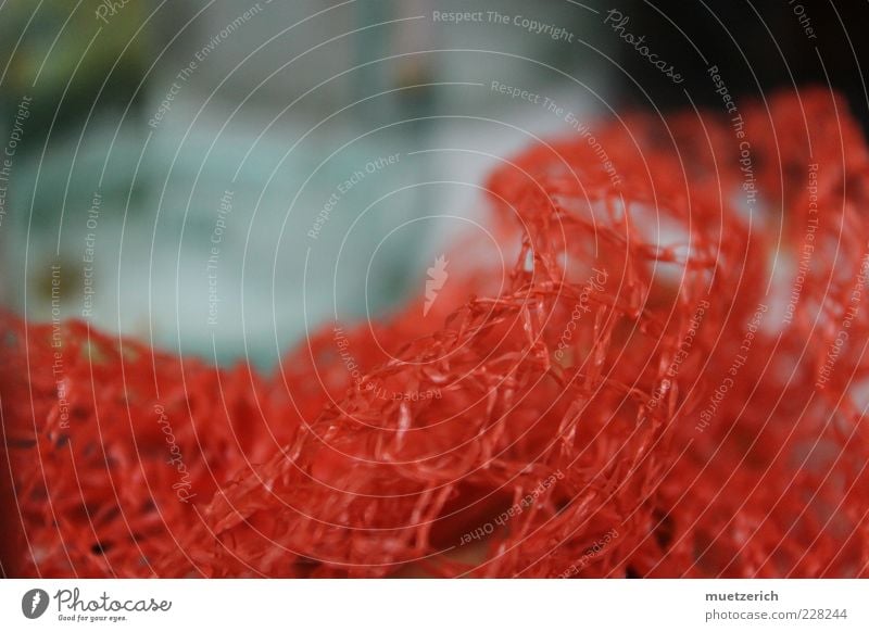 net Packaging Plastic packaging Red Deserted Blur Copy Space Reticular Net Muddled Colour photo Close-up Deep depth of field