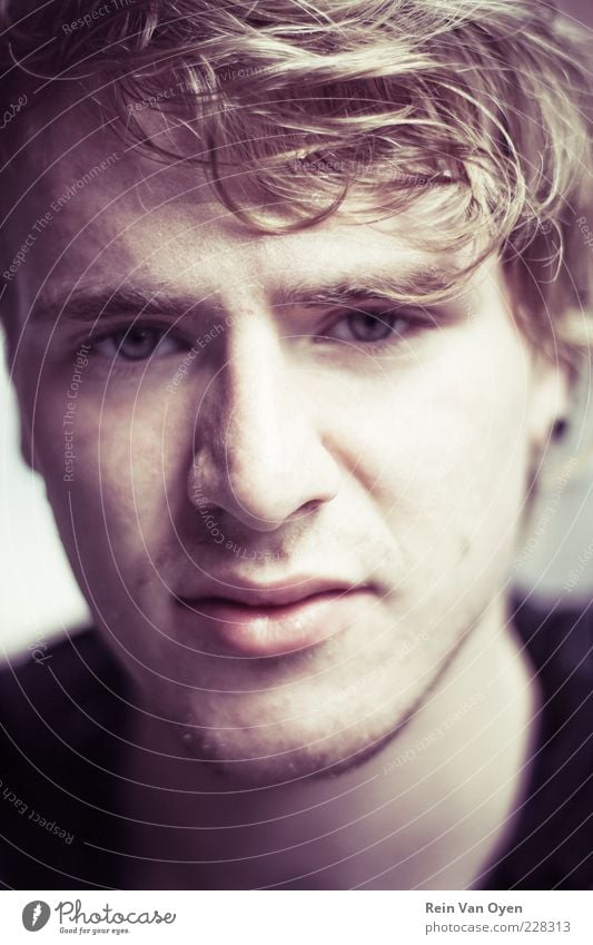Portrait Human being Young man Youth (Young adults) Face 1 18 - 30 years Adults Sweater Hair and hairstyles Brunette Blonde Curl Designer stubble Looking Gloomy