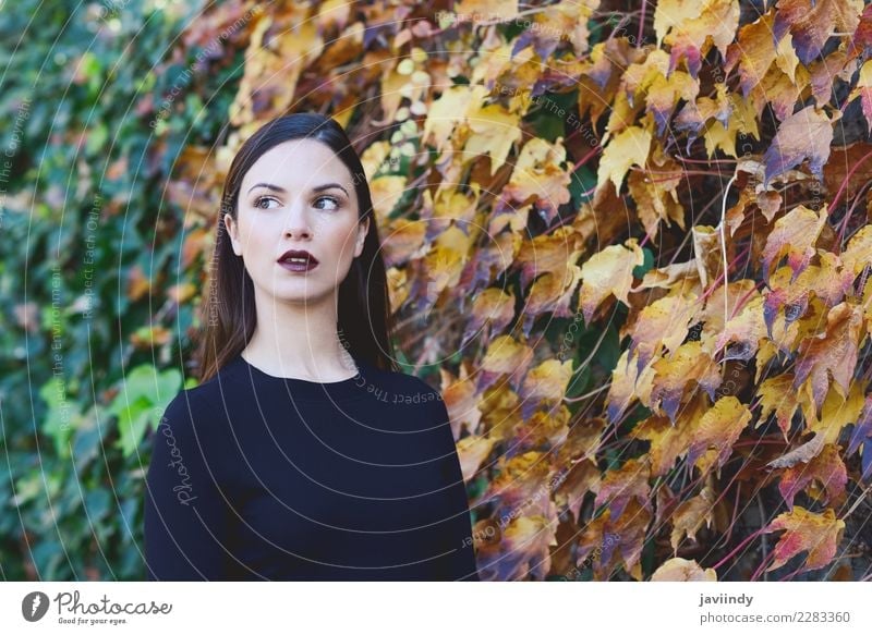 Beautiful young woman with autumn leaves. Lifestyle Style Happy Hair and hairstyles Human being Feminine Young woman Youth (Young adults) Woman Adults 1