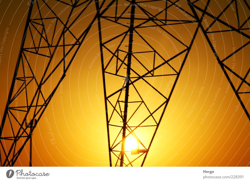 energy Technology Energy industry Environment Sun Yellow Gold Colour photo Day Evening Exceptional