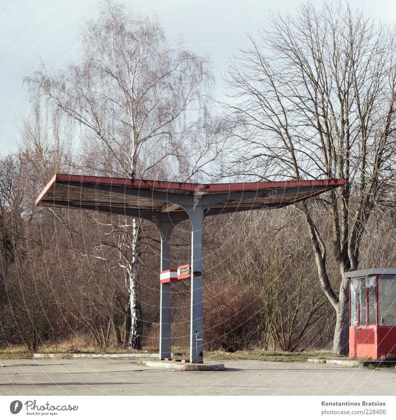 rotten gas station Energy crisis Beautiful weather Tree Hut Petrol station Old Broken Gray Red Crisis Colour photo Exterior shot Deserted Day