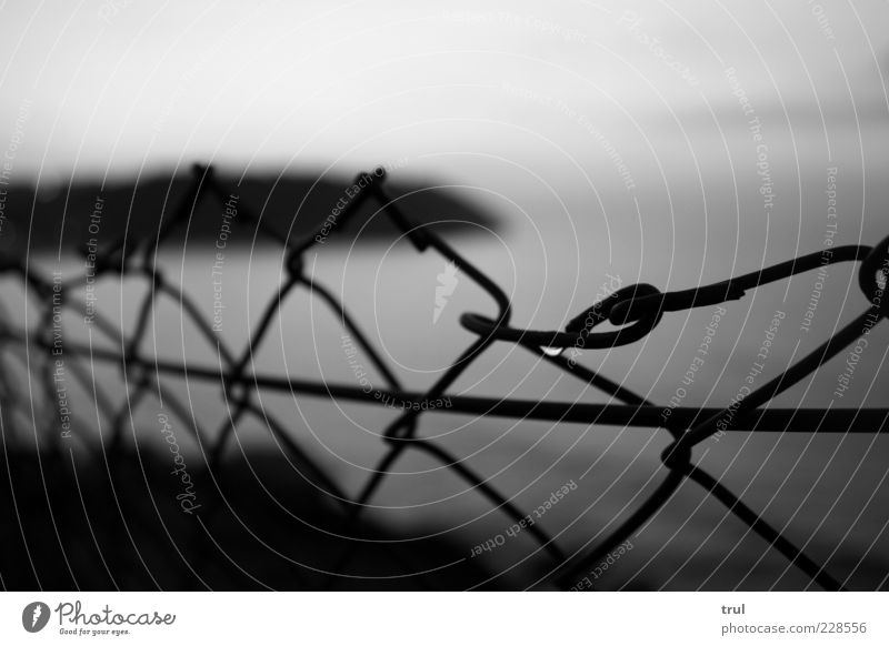 morning dew Water Drops of water Sky Summer Coast Beach Bay Wire netting fence Far-off places Black & white photo Exterior shot Detail Deserted Morning Dawn