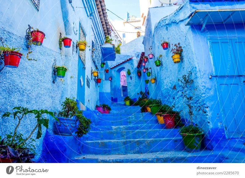 Blue street in Chefchaouen, Morocco Pot Vacation & Travel Tourism Mountain House (Residential Structure) Culture Plant Flower Village Town Building Architecture