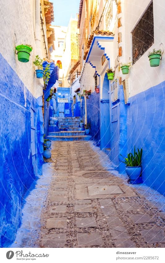 Blue street in Chefchaouen, Morocco Pot Vacation & Travel Tourism Mountain House (Residential Structure) Culture Plant Flower Village Town Building Architecture