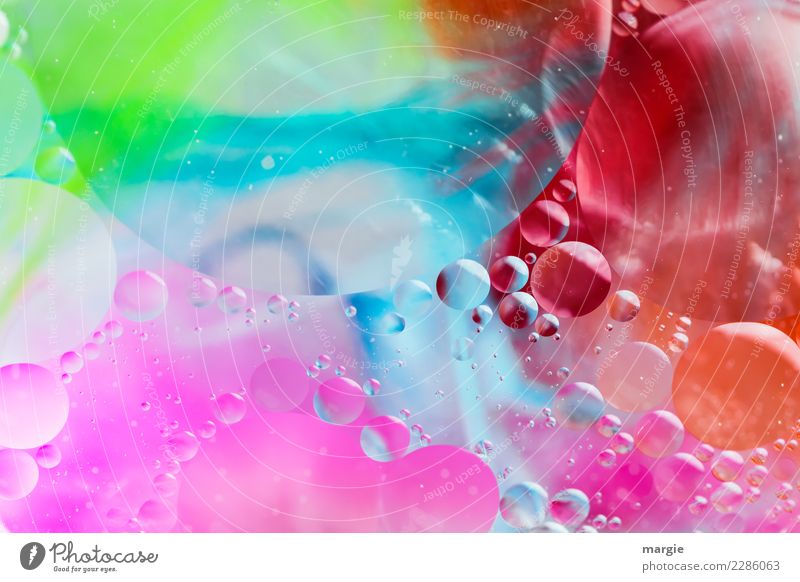 All over the place, you colorful bubbles! Playing Blue Multicoloured Green Violet Orange Red Joy Happy Happiness Chaos Uniqueness Leisure and hobbies Ease Dream