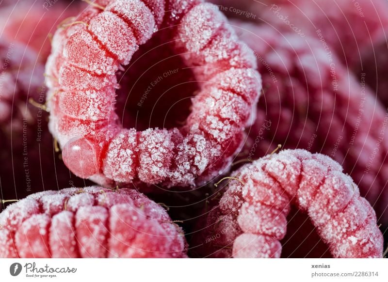 Ice cold, frozen and sweet raspberries Fruit Raspberry Nutrition Organic produce Vegetarian diet Frozen foods Healthy Eating Fresh Cold Delicious cute Red