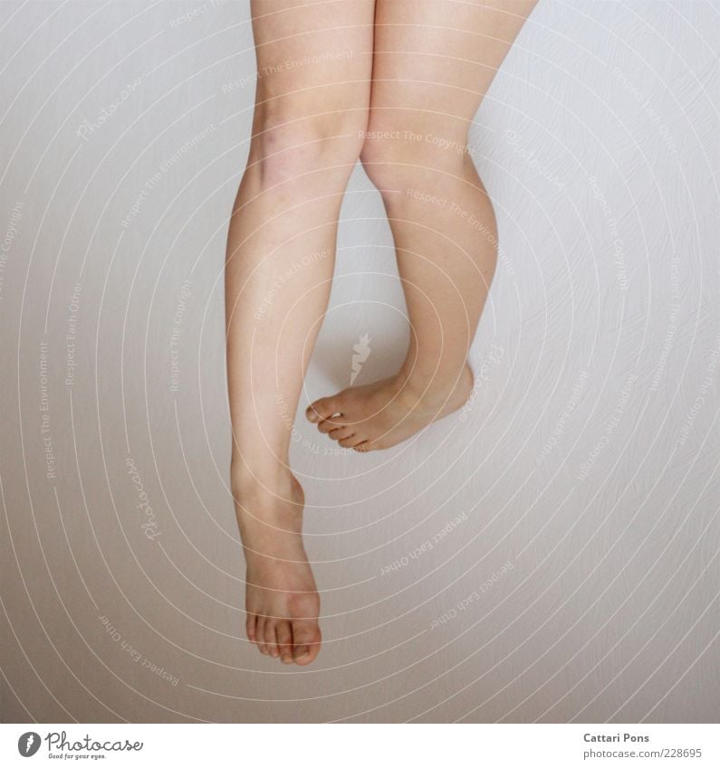 up and down Legs Feet Hang Natural Calf Thigh Barefoot Neutral Background Knee Toes Copy Space left Copy Space right Detail Beautiful Groomed Colour photo