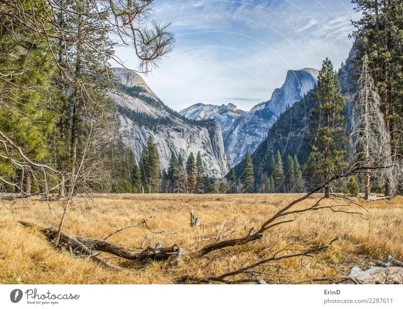 Meadow in Yosemite National Park with forest and mountains Beautiful Calm Vacation & Travel Tourism Adventure Winter Mountain Hiking Nature Landscape Clouds