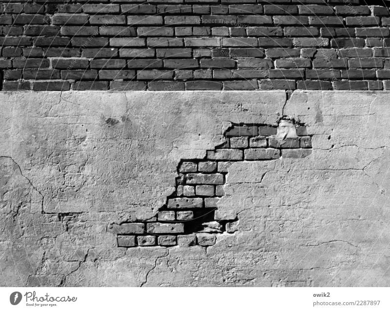 archaeology Wall (barrier) Wall (building) Facade Plaster Rendered facade Brick Brick wall Concrete Old Trashy Adversity Feeble Decline Transience Destruction