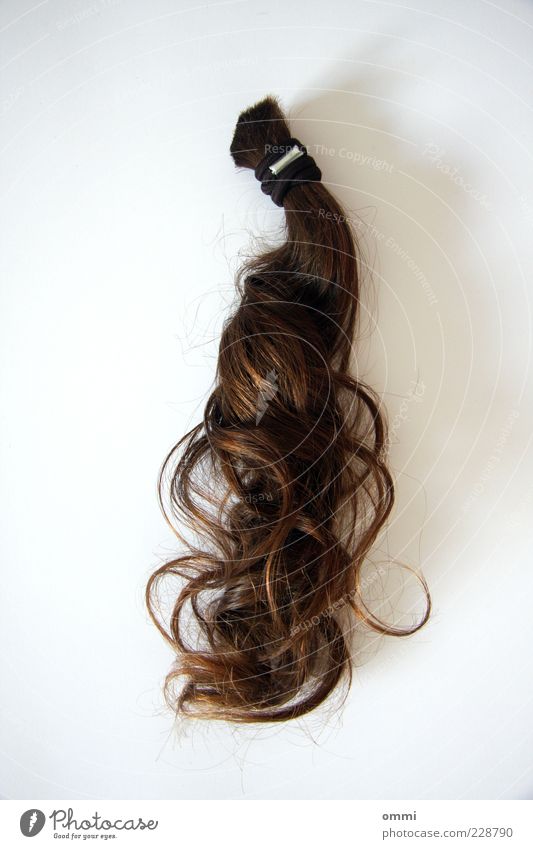 Take your braid off! Hair and hairstyles Brunette Long-haired Curl Braids Esthetic Authentic Brown White Divide Past Change Elastic hairband Subdued colour