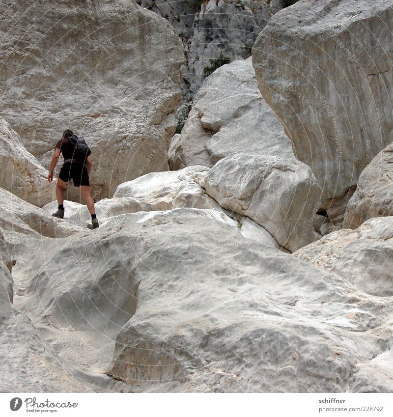 The Maitre climbs Vacation & Travel Tourism Trip Adventure Mountain Hiking Masculine Man Adults 1 Human being Canyon Rock Cervice Climbing Rising Sardinia