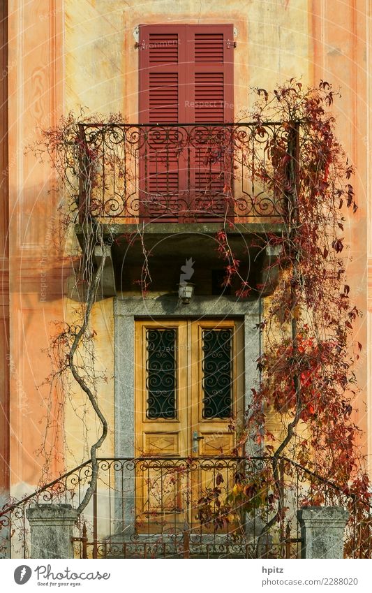 autumn facade Autumn Beautiful weather Wall (barrier) Wall (building) Facade Balcony Ornament Old Illuminate To dry up Friendliness Happy Kitsch Warmth Brown