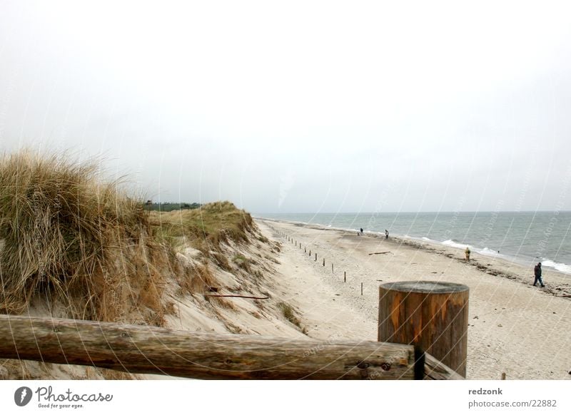 By the sea Ocean Beach Waves Prerow Vacation & Travel Europe Baltic Sea Sand Handrail Beach dune Water Relaxation