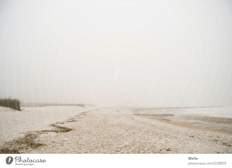 go Beach Ocean Environment Nature Landscape Sand Fog Coast North Sea Bright Natural Gloomy Gray Loneliness Climate Calm Moody Far-off places Colour photo