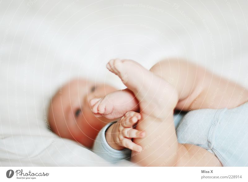 cheese feet Human being Baby Fingers Legs Feet 1 0 - 12 months Happiness Happy Bright Positive White Beginning Infancy Life Grasp Colour photo Subdued colour