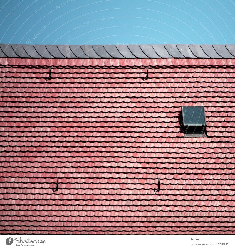 colonel's room Sky Roof Red Protection Arrangement Roofing tile Tiled roof Skylight Hatch ladder hook Individual Colour photo Multicoloured Exterior shot
