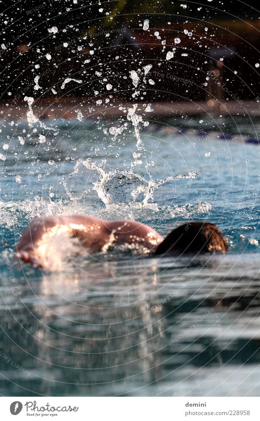 Early swimmer1 Human being Masculine Man Adults Movement Blue Black White Fitness Sports Colour photo Exterior shot Copy Space top Copy Space bottom Morning