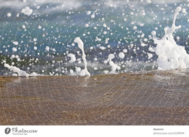 splash Summer Sun Beach Ocean Waves Water Drops of water Beautiful weather Coast Deserted Blue Gray Colour photo Exterior shot Copy Space bottom Day Inject