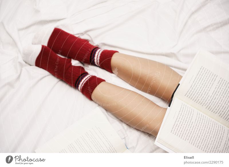 Cozy Lifestyle Leisure and hobbies Reading Bed Study Home Relaxation Book Sheet Sock Red Warmth Student Legs Comfortable Safety (feeling of) Colour photo