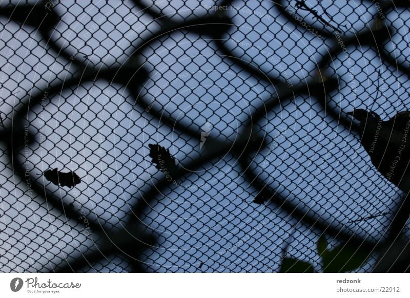 urge for freedom Fence Grating Wire netting Fold Barrier Black Things Looking Sky Freedom Net Penitentiary Blue Perspective Escape