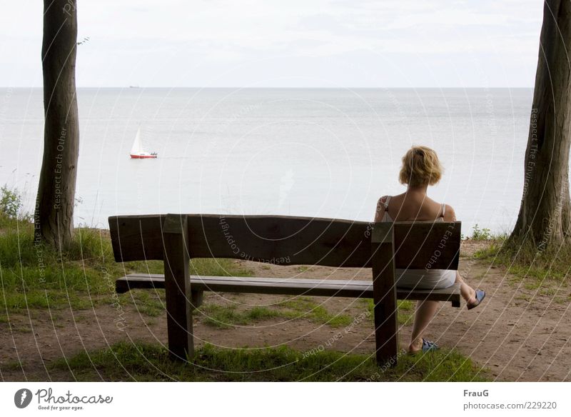 View sea Vacation & Travel Far-off places Summer Ocean Woman Adults 1 Human being Water Sky Tree Coast Baltic Sea Blonde Relaxation Calm Colour photo