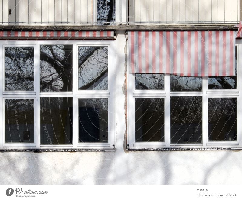 domicile House (Residential Structure) Building Window Old Uninhabited Venetian blinds Cloth pattern Reflection Tree Colour photo Exterior shot Detail Pattern