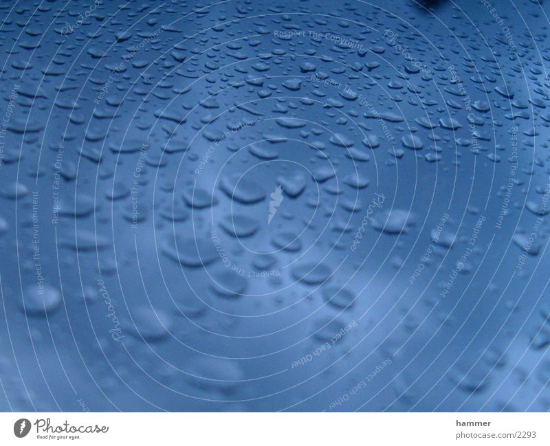 trickle Drops of water Rain Water bubbles