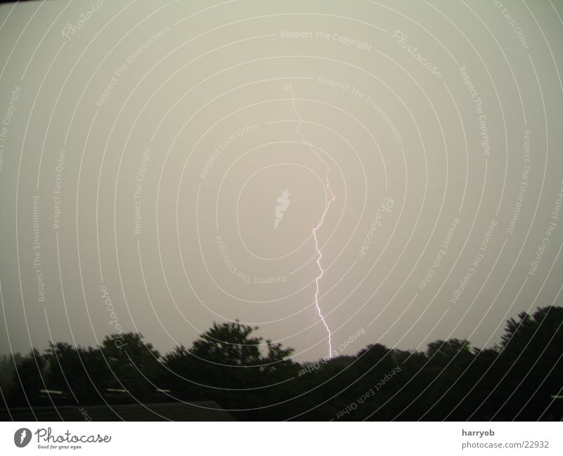 lightning bolt Lightning Storm Clouds Dark Tree Night