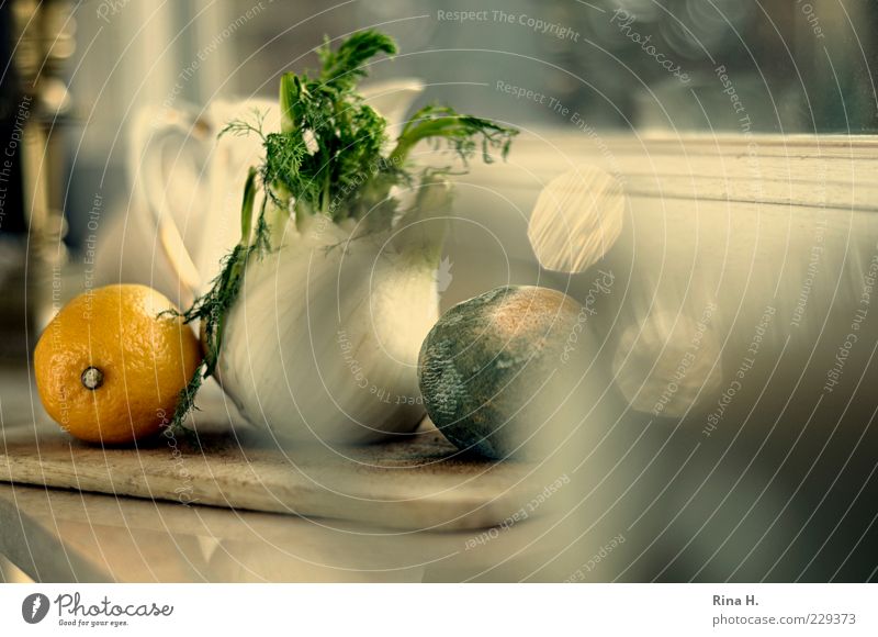 KitchenStill Vegetable Fruit Natural Transience Lemon Fennel Window board Spoiled Colour photo Interior shot Reflection Shallow depth of field Copy Space right