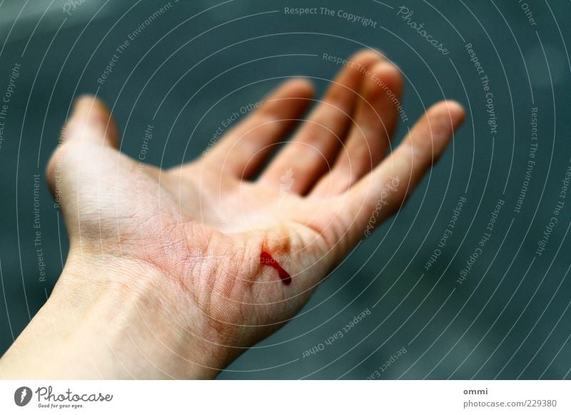flesh wound Skin Hand Authentic Simple Gray Red Pain Blood Wound Fingers Palm of the hand Accident AIDS Colour photo Exterior shot Close-up Detail Day Blur