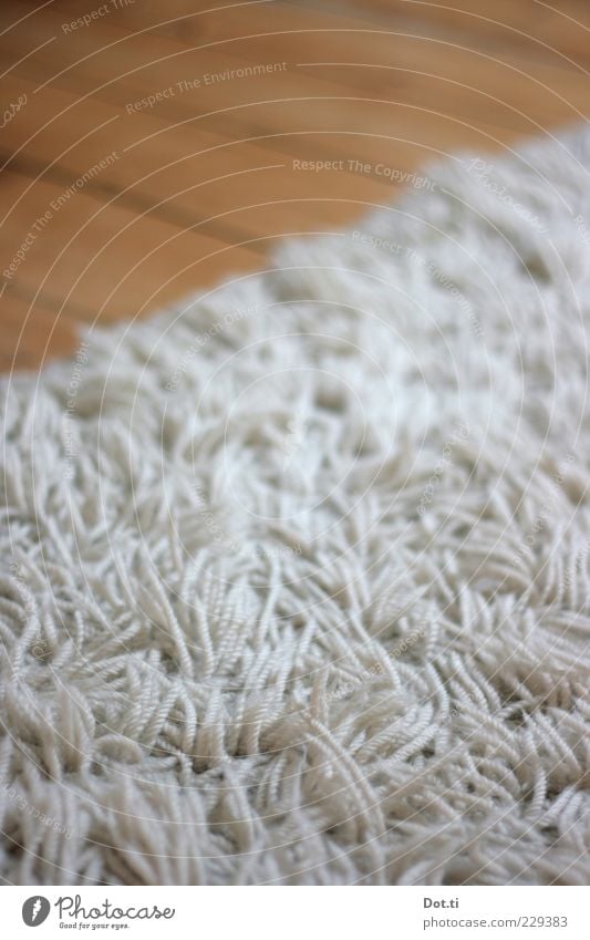 lint flokati Living or residing Flat (apartment) Room Soft Carpet Flock carpet Wool Wooden floor Disheveled White Colour photo Subdued colour Interior shot