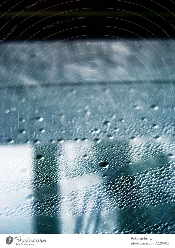 Glass paste? Environment Water Drops of water Weather Bad weather Rain Ice Frost Window Wood Tall Cold Blue Black White Dew Point Line Transparent Damp Wet