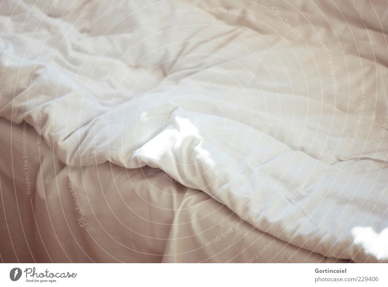 Good morning Bed Bedroom Bright Bedclothes Duvet Folds Cloth Folded cloth Beautiful weather Shaft of light Cozy Sleep Sleeping place Colour photo Subdued colour