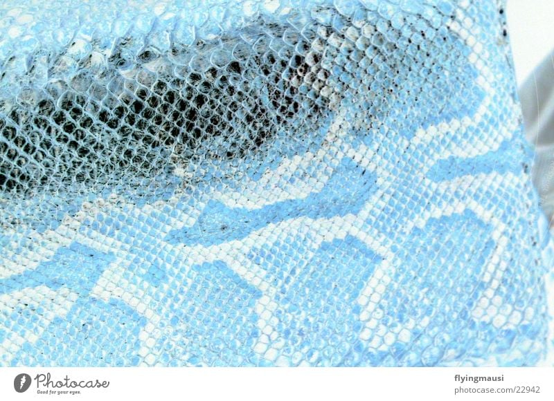 snake Snakeskin Handbag Pattern Negative Animal Art Arts and crafts  Obscure Skin