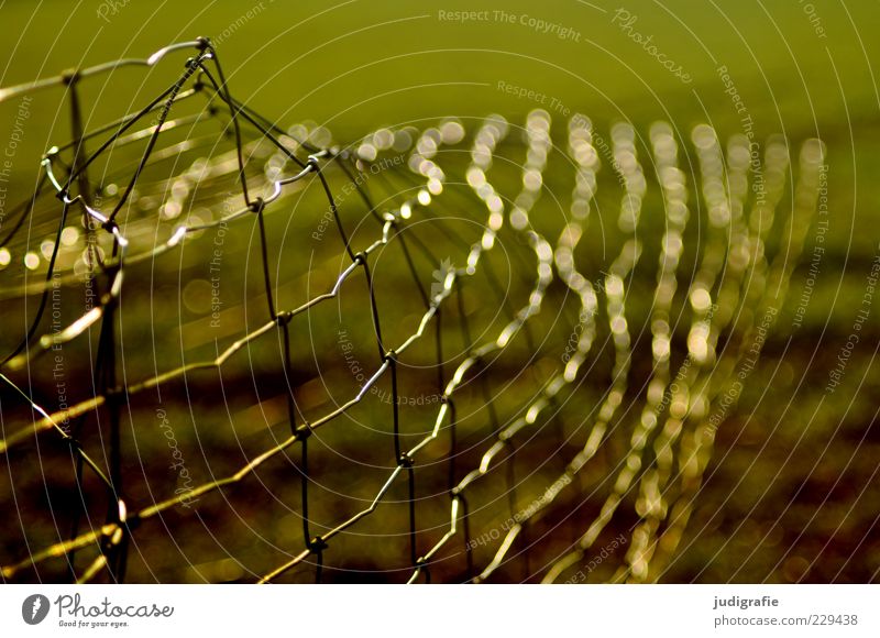wire netting Nature Fence Wire netting fence Trashy Border Protection Colour photo Exterior shot Deserted Day Light Light (Natural Phenomenon) Blur Broken Bend