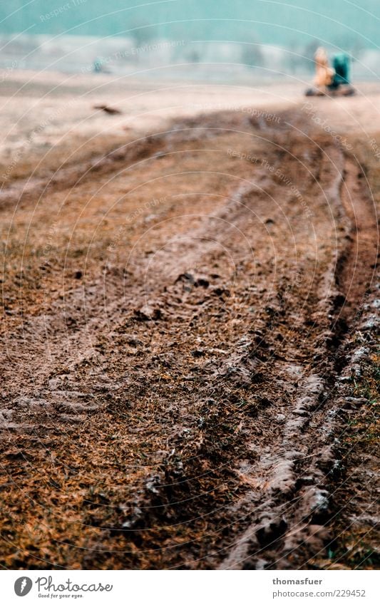 In March the farmer ... Agriculture Forestry Nature Earth Sky Field Tractor Tractor track Colour photo Subdued colour Exterior shot Shallow depth of field