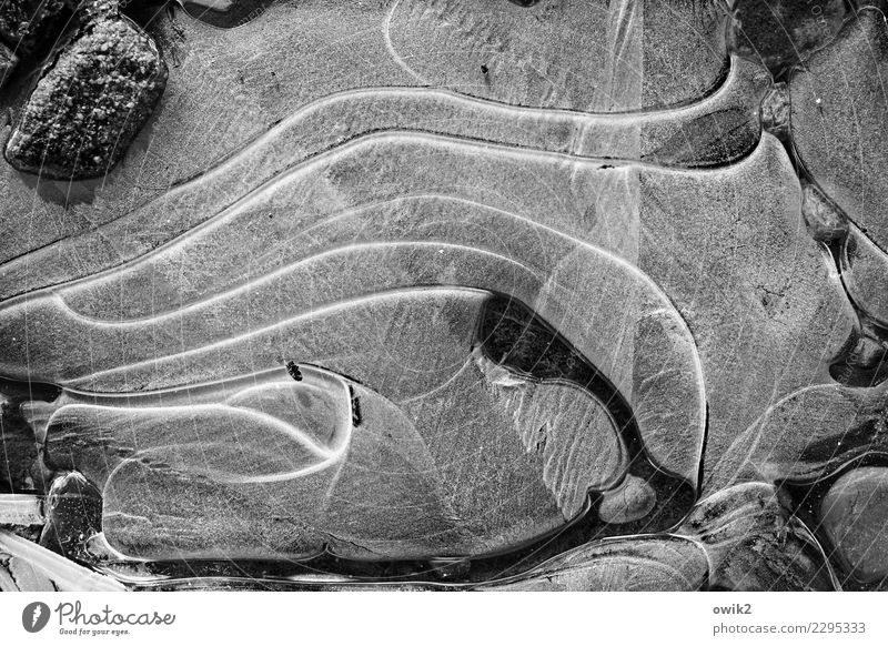 Frozen Lines Environment Nature Ice Frost Puddle Stone Freeze Cold Under Patient Calm Stagnating Solidify Motionless Bizarre Black & white photo Exterior shot