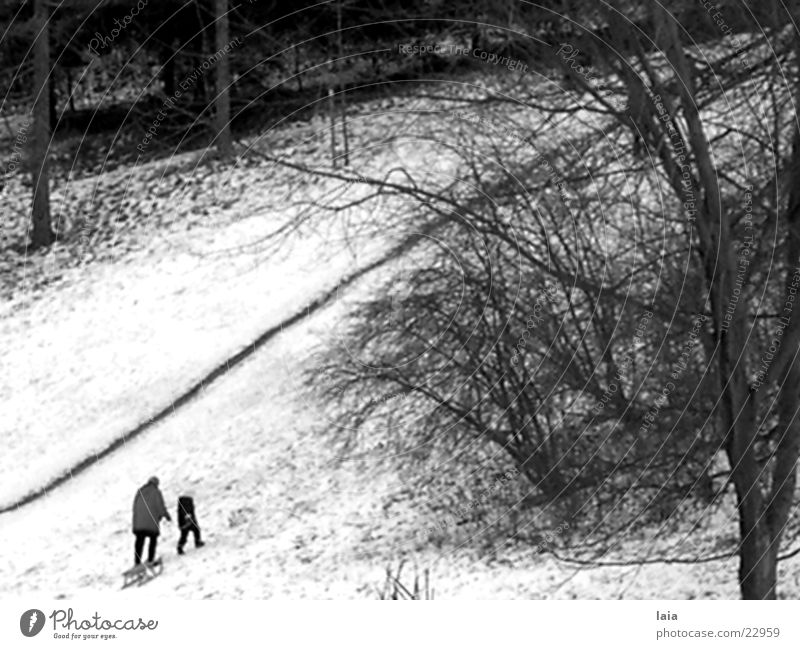 sleigh ride Nostalgia Winter Europe toboggans Snow Mountain Lanes & trails