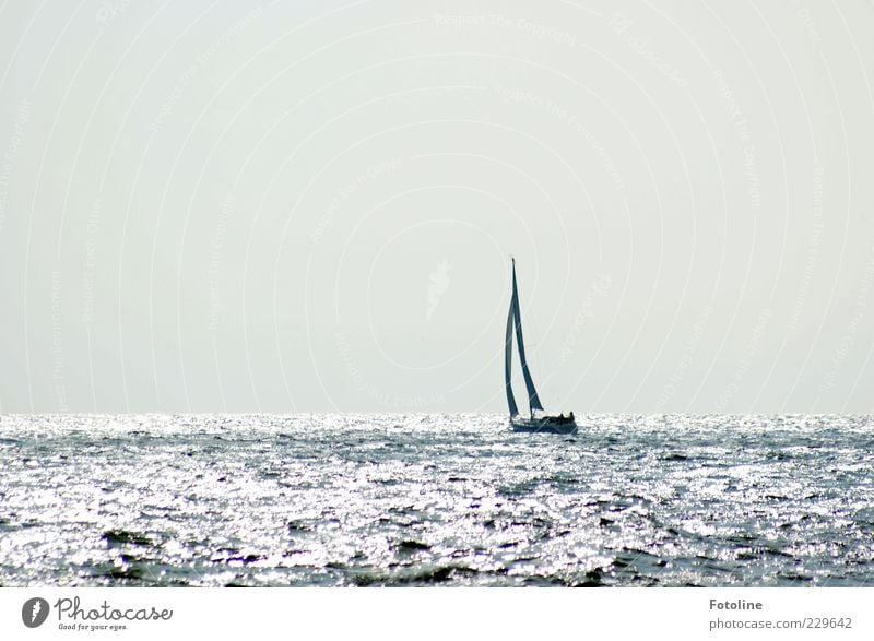 Starboard is Spiekerook ;-) Environment Nature Elements Water Sky Cloudless sky Waves North Sea Baltic Sea Ocean Boating trip Sailboat Sailing ship Watercraft
