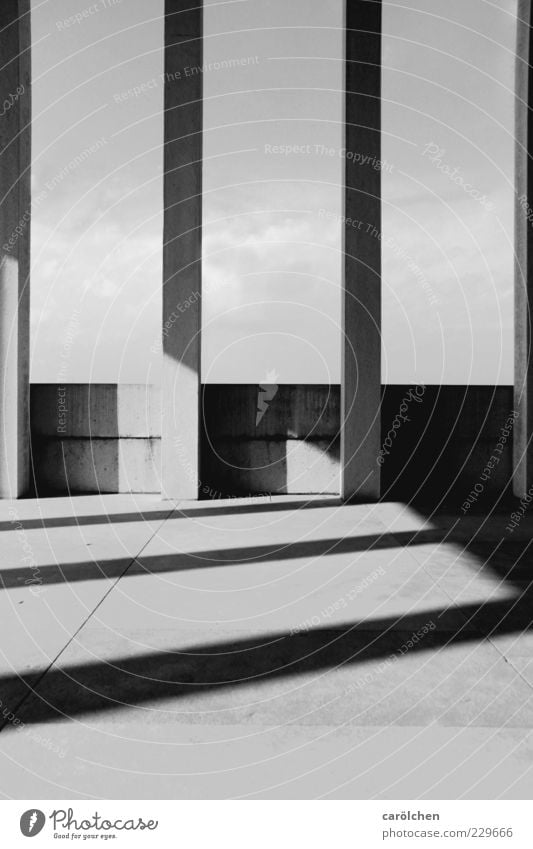 lines Wall (barrier) Wall (building) Gray Black White Column Shadow play Direct Elegant Simple Black & white photo Abstract Structures and shapes Deserted