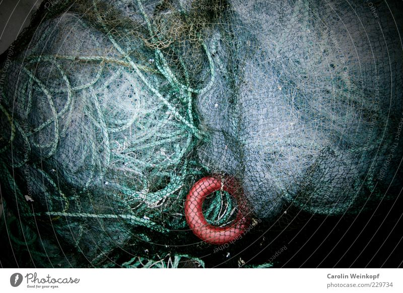 Networking. Fishery Profession Fishing net Knot Chaos Muddled Norway Colour photo Abstract Structures and shapes Deserted Copy Space top Copy Space middle Loop