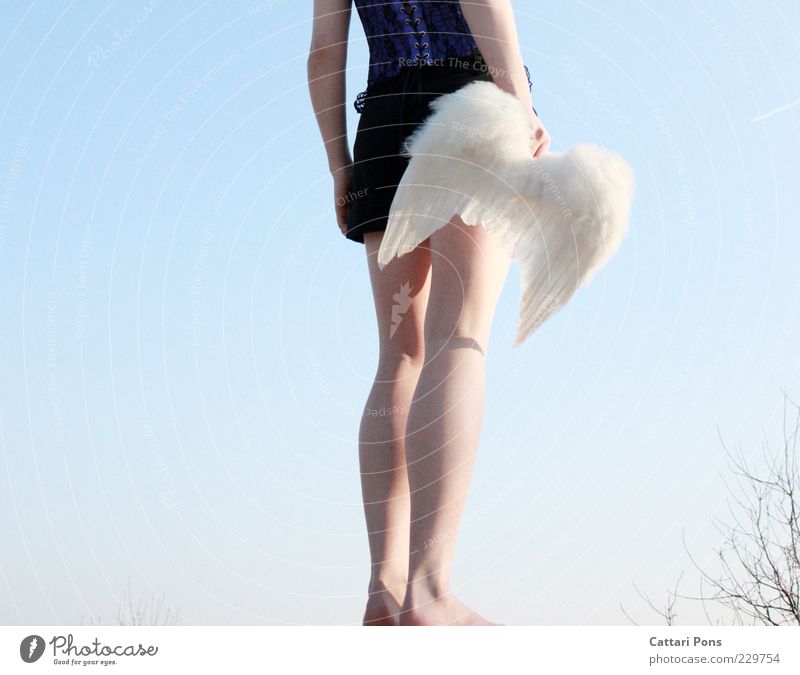 hope Human being Feminine Young woman Youth (Young adults) Woman Adults 1 Stand Wait Violet White Dress up Wing Angel Hope Legs Arm Feather Multicoloured