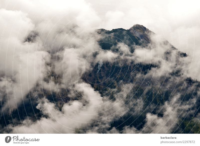 Tohuwabohu around the mountain. Vacation & Travel Elements Air Sky Clouds Alps Mountain Allgäu Alps Peak Tall Wild Movement Freedom Climate Nature Environment